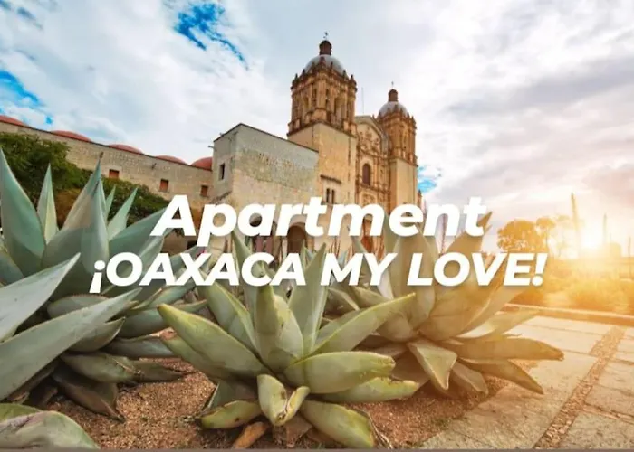 Moderno Y Tradicional, Elegante Departamento En Oaxaca